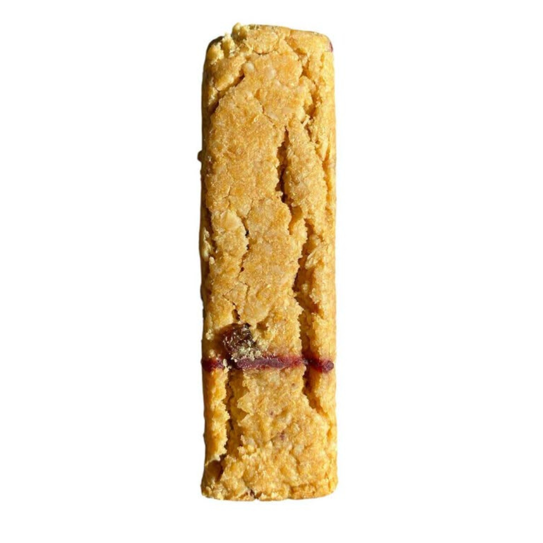 Protein Bar Sultana and Cranberries
